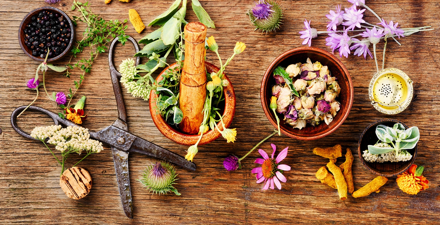 Natürliches Sortiment – Bio Produkte – Natürlich und Nachhaltig